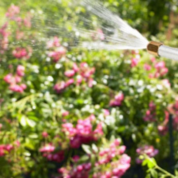 JetNozzle Washer gardening